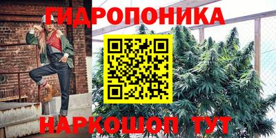 индика Нарткала