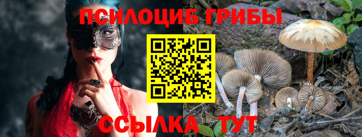 Псилоцибиновые грибы Psilocybe  Вход с VPN  Псилоцибиновые грибы Psilocybe  Орёл 