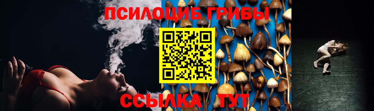 Псилоцибиновые грибы мухоморы Орёл